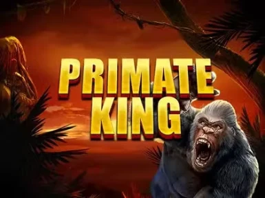Dracula Casino screenshot